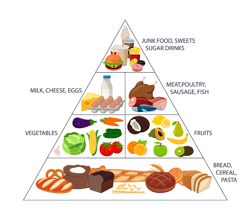 kalp sağlığı için besin piramidi