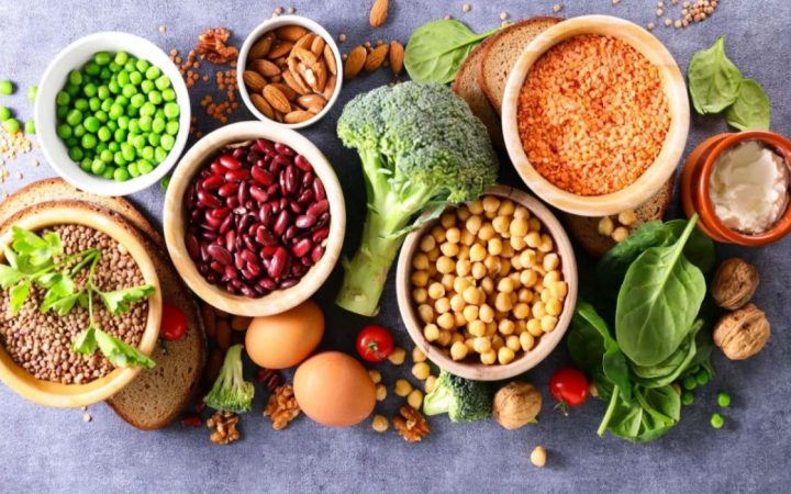 Bitki Temelli Protein Kaynakları