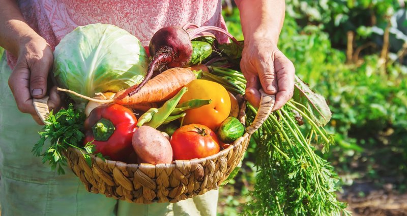 Sebzeler ve En İyi Tüketim Zamanları