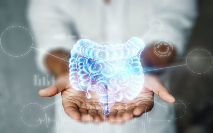 Yararlı Bakterilerin Özellikleri Nelerdir?