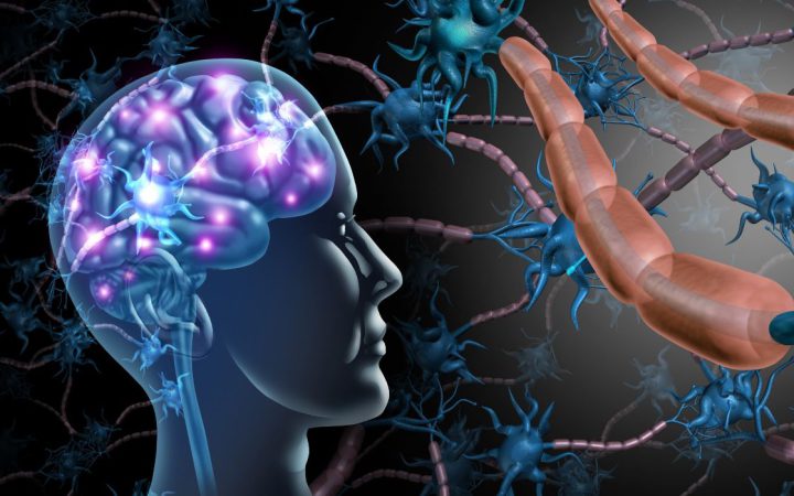 Alzheimer’dan Korunma Yolları
