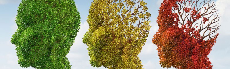 Alzheimer'dan Korunma Yolları