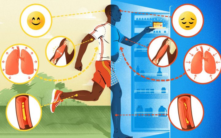 Fitness’ı Bırakmanın Vücuda Etkileri
