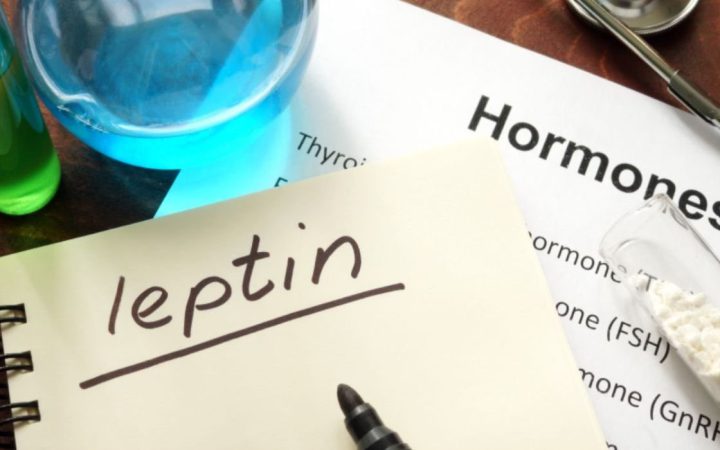 Leptin Hormonu Hakkında Bilinmeyenler