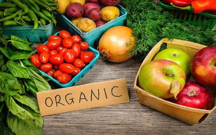 Neden Organik Beslenme?