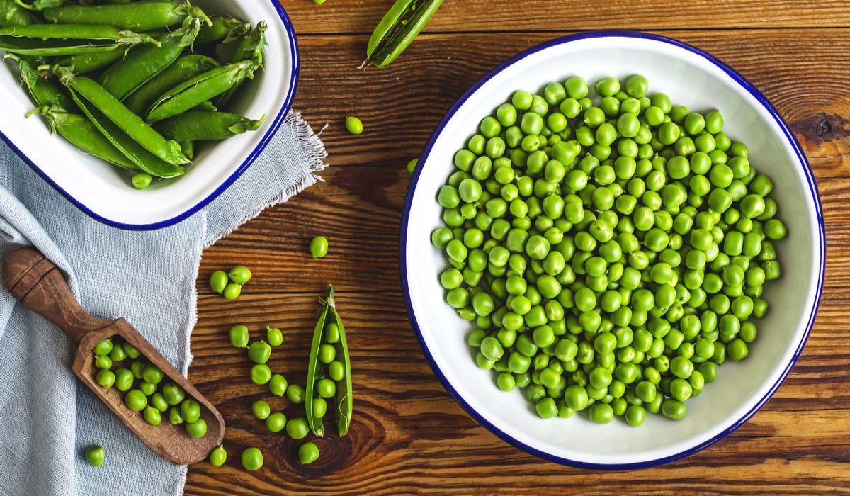 Protein Deposu; Bezelye…