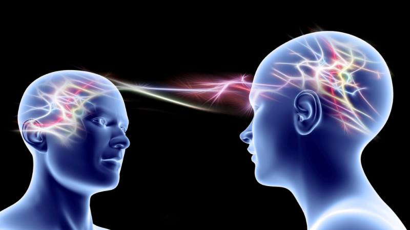 Ayna Nöronlar ve Davranış İlişkisi