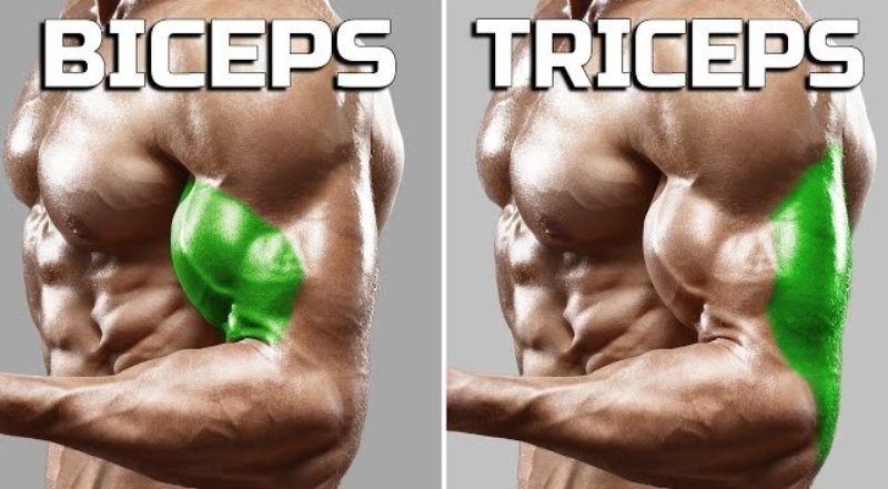 En Etkili Biceps ve Triceps Egzersizleri 