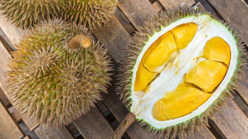 Durian Meyvesi ve Besin Değerleri