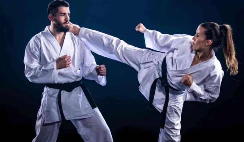 Karate Sanatında Kuşakların Renkleri