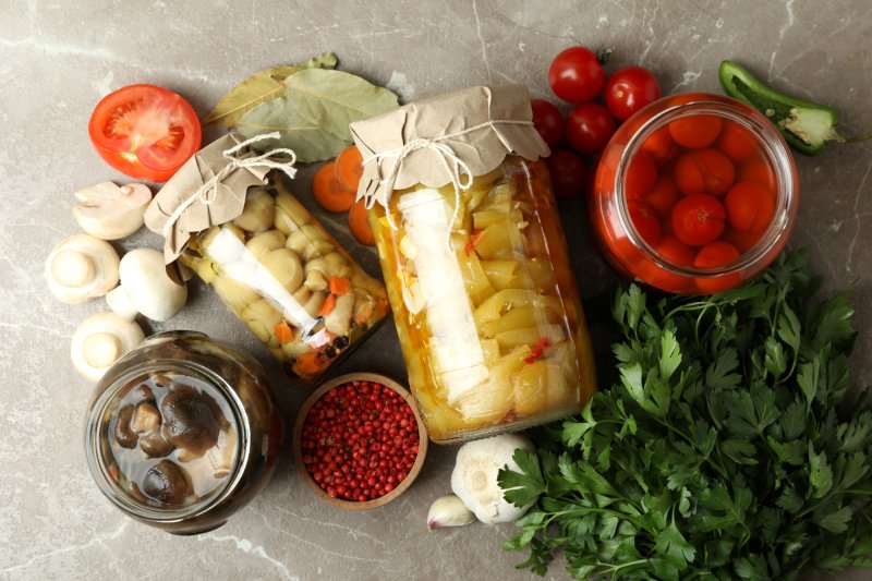 Fermente Besinlerin Önemi