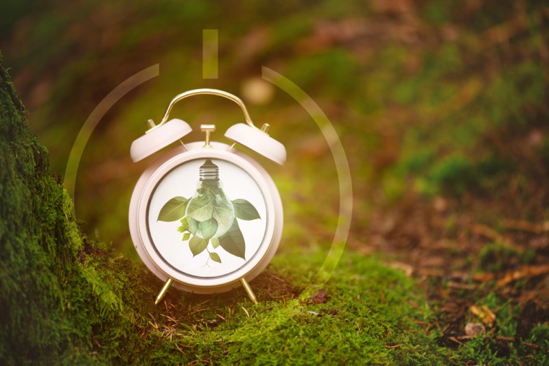 Biyolojik Saatle Uyum