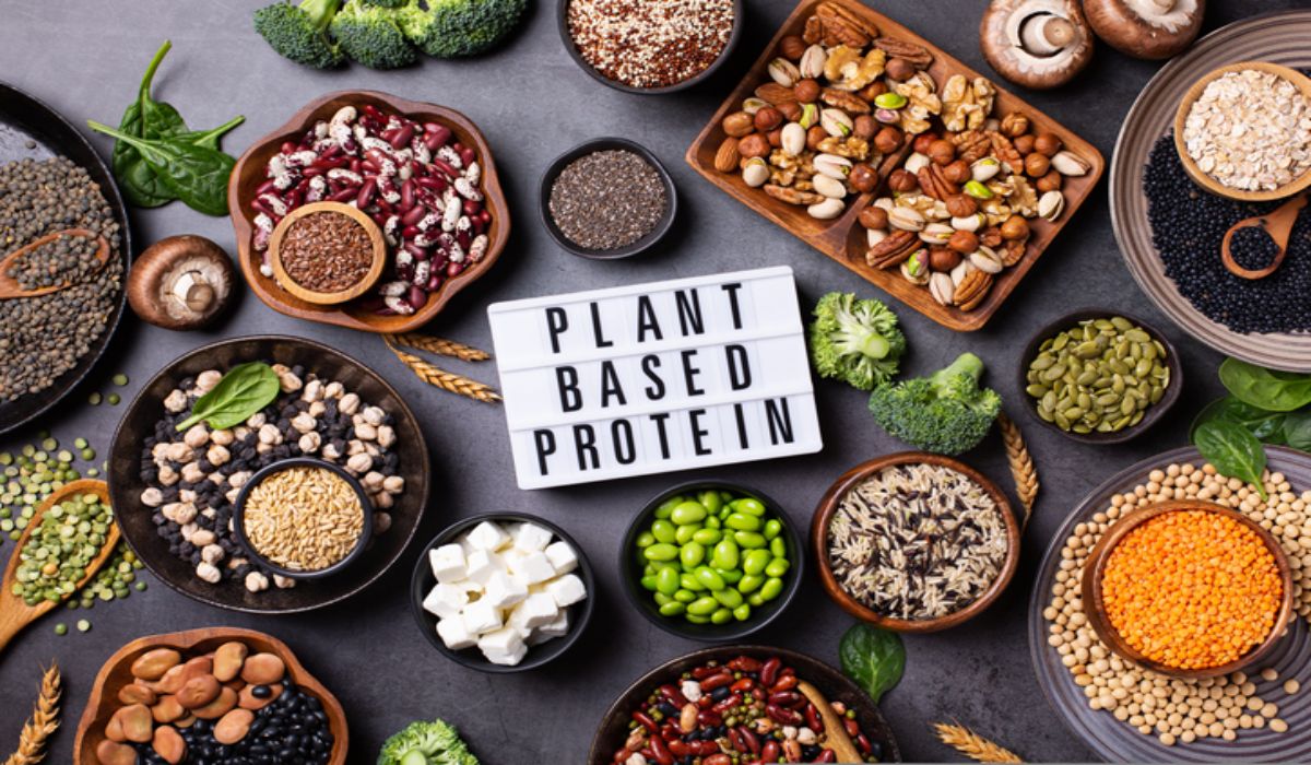 Protein Ağırlıklı Beslenmenin Önemi