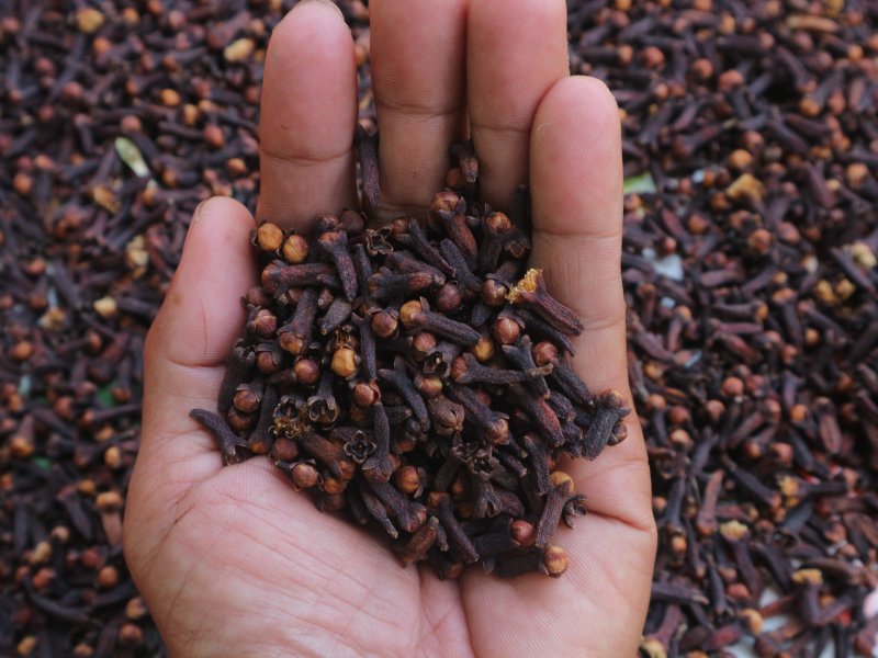 Karanfil Tüketmenin Faydaları